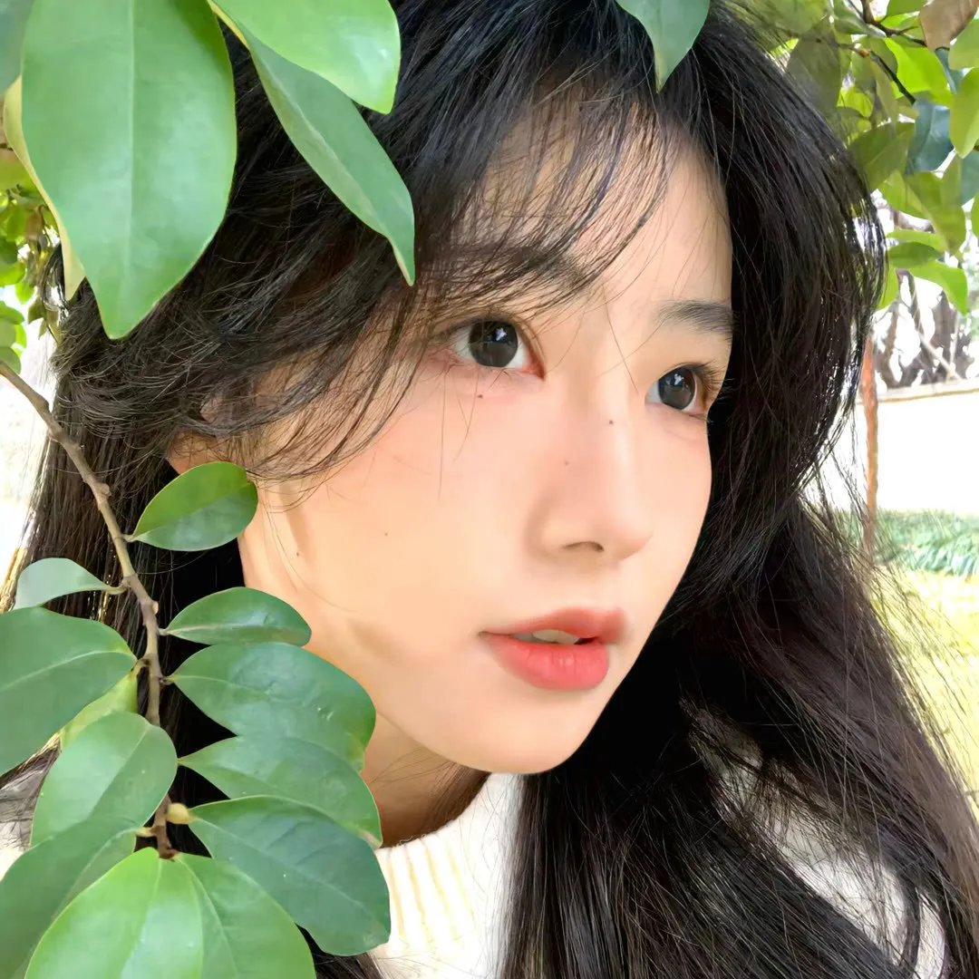 血族第一季