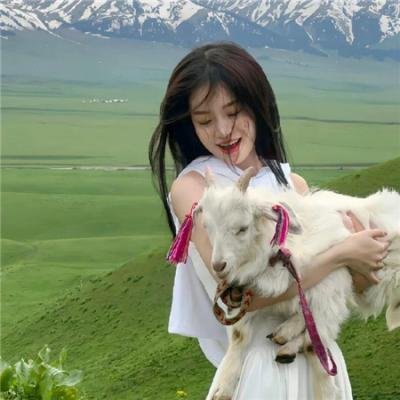 女孩的灵缇犬